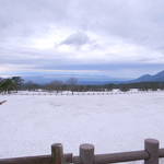 R0023687.JPG